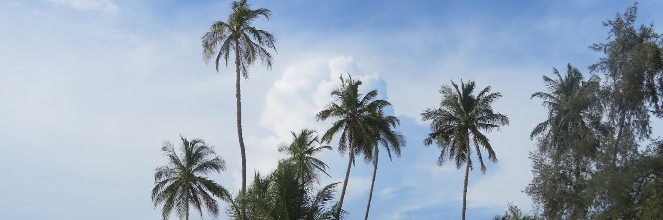 Asier182's profile banner image