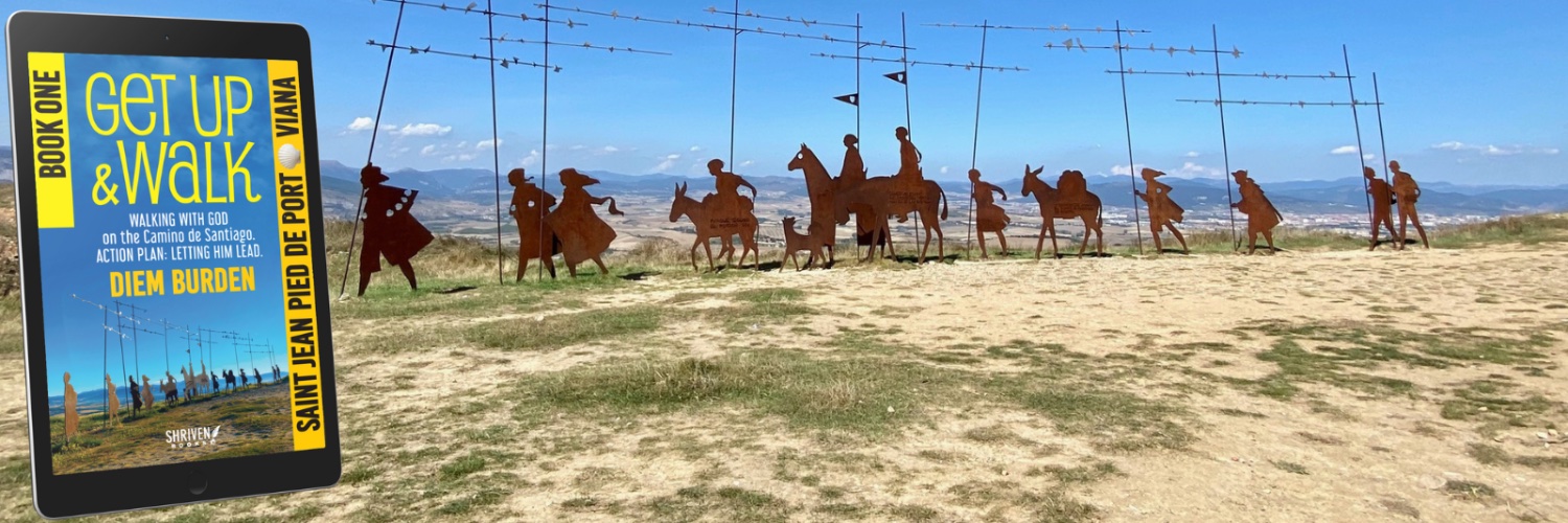 Dave (Diem) Burden | author/hotelier banner