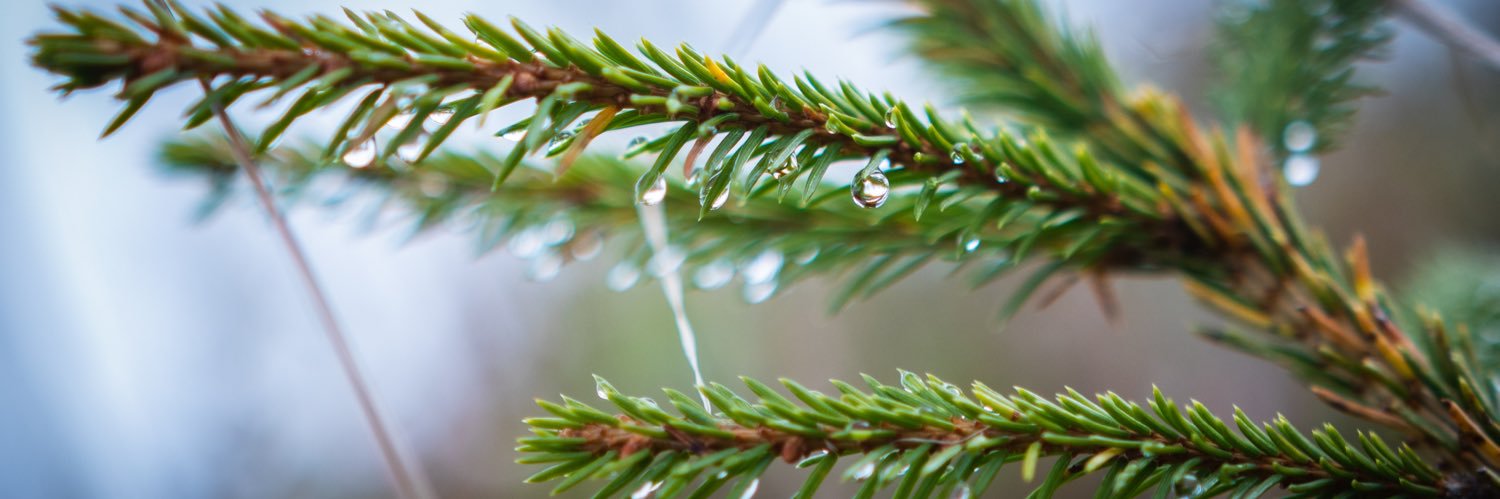 omarigbaria's profile banner image
