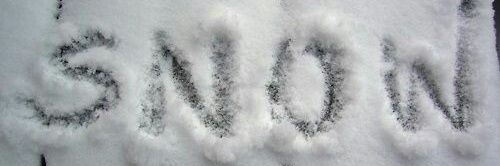 Elisabetta Nardelli banner