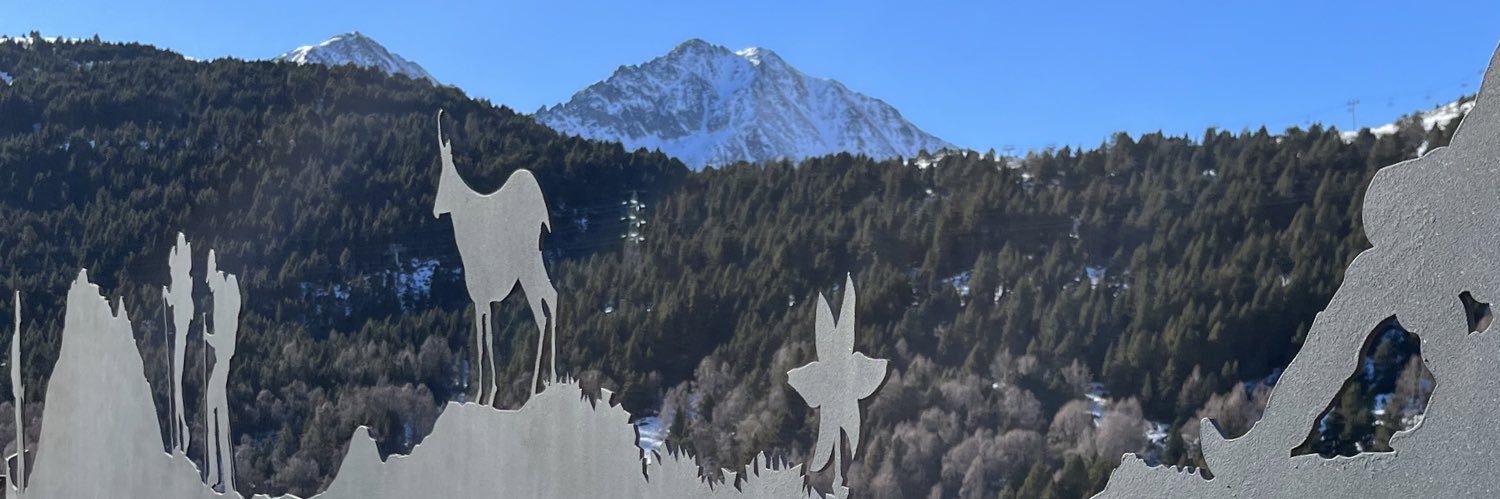 Andrea Pasqualon banner