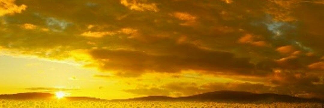 sonar_k's profile banner image