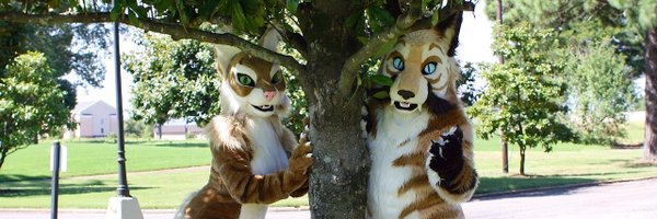 Vixitty Profile Banner