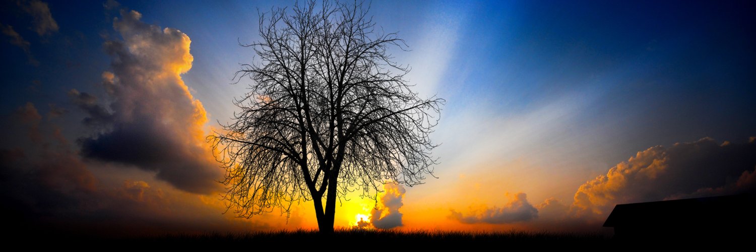 AssisiDomani's profile banner image