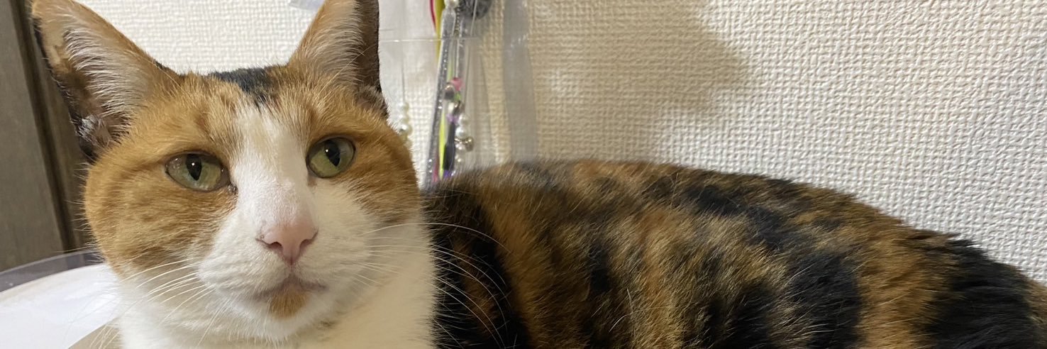 kayu7's profile banner image
