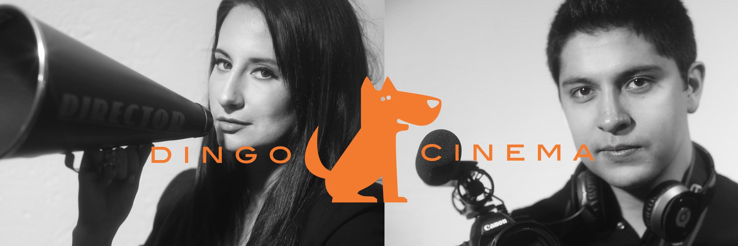 DingoCinema's profile banner image