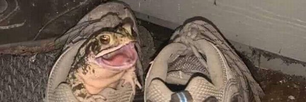 chosso_b Profile Banner