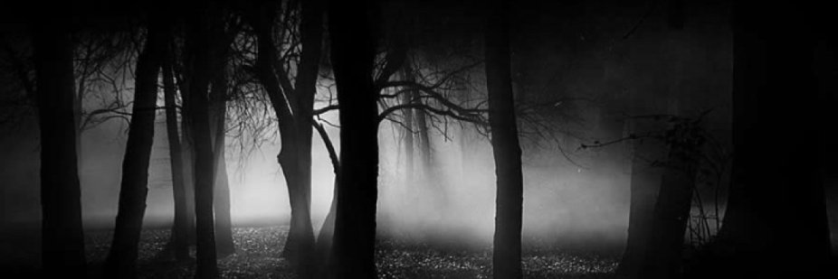 LeeAllmer's profile banner image