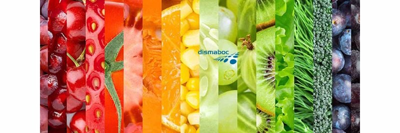 dismaboc's profile banner image