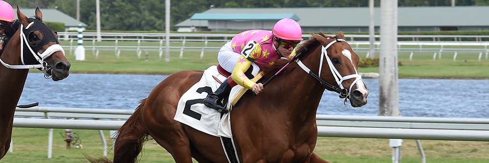 Racinfilly's profile banner image