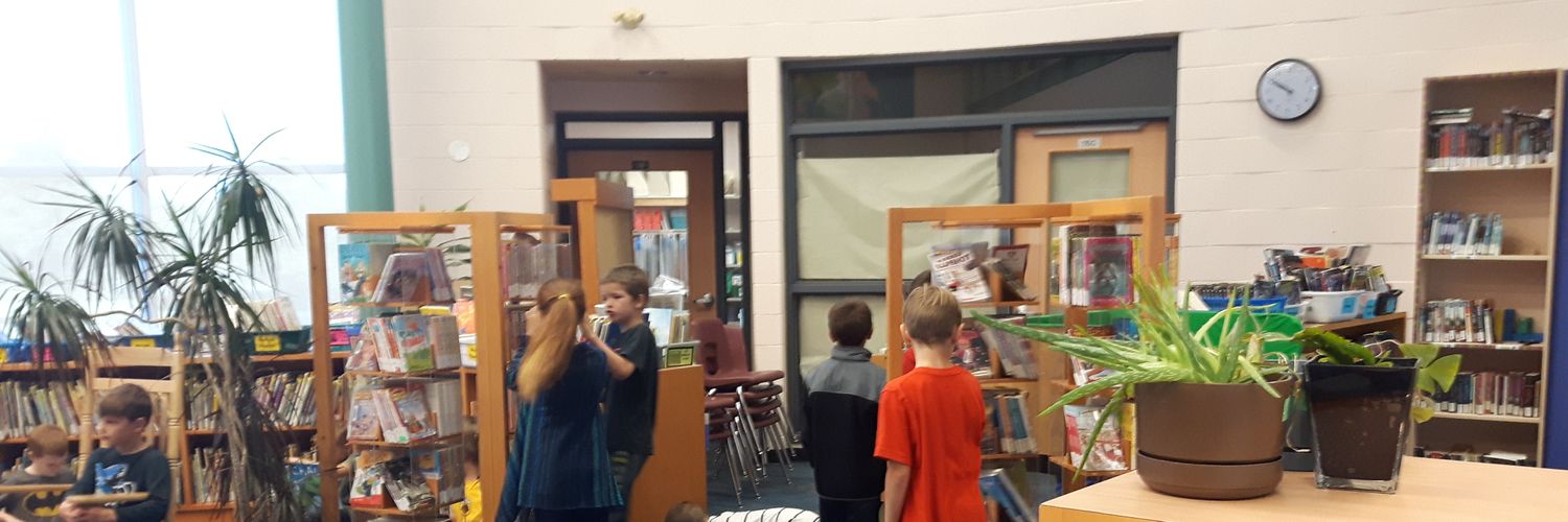 Willow Library banner