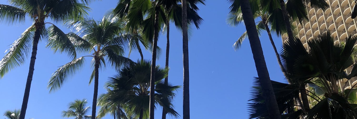 emilie1002's profile banner image