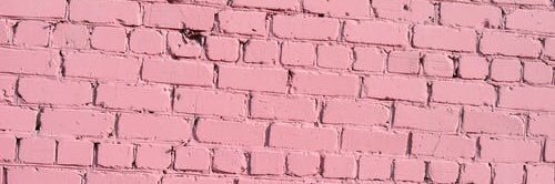 CocoNicolex's profile banner image