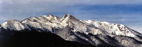 1980AraceliR's profile banner image