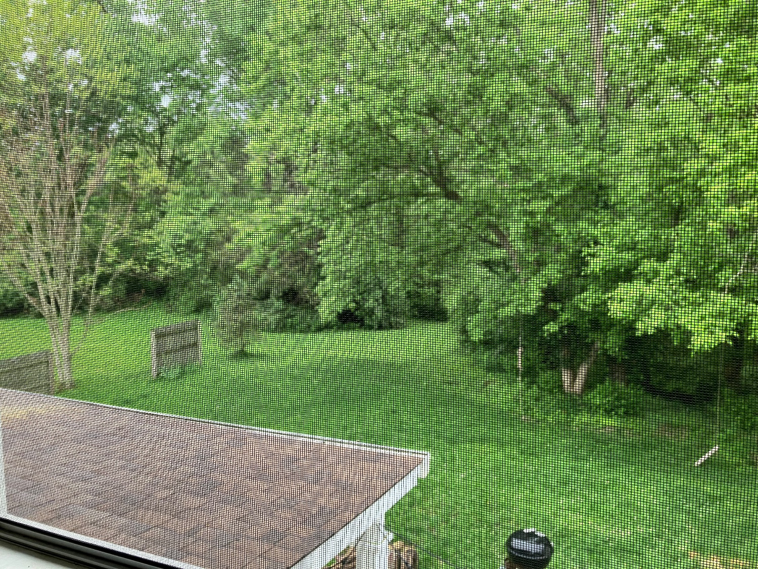 Lori Lindberg banner