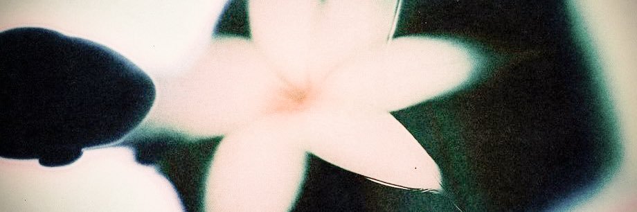Chimeraisle's profile banner image