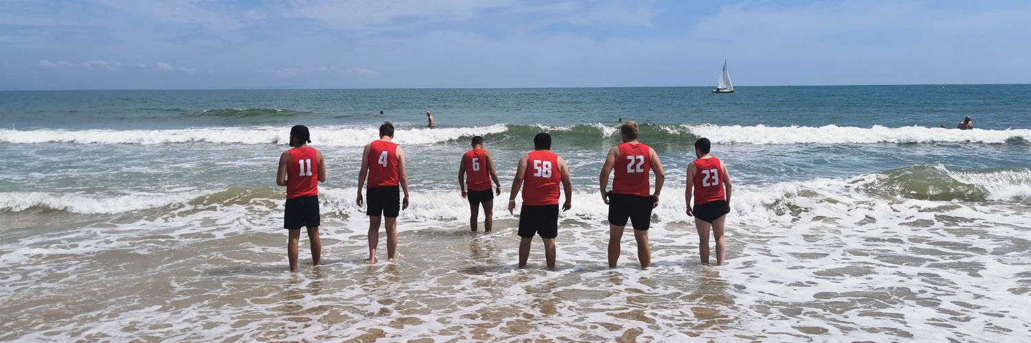 Bishop's Stortford Handball banner