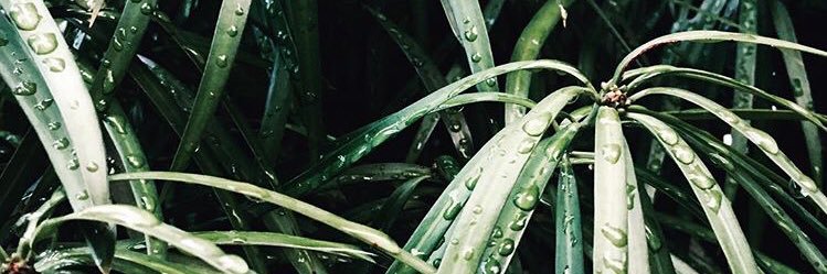 LydiaJJ24's profile banner image