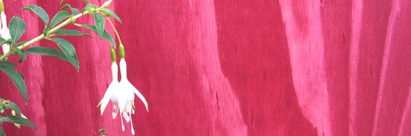 no44homeworks Profile Banner