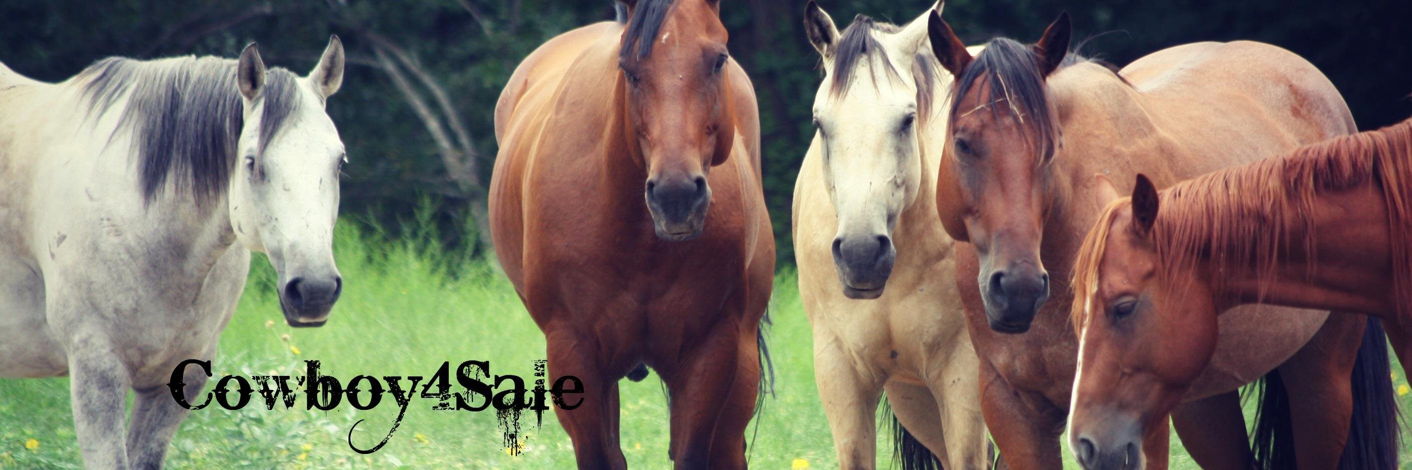 tntranchsales's profile banner image