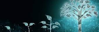 A banner