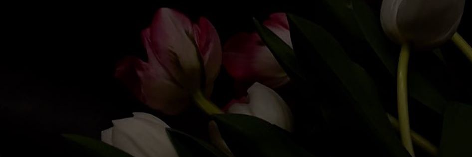 khumukh's profile banner image
