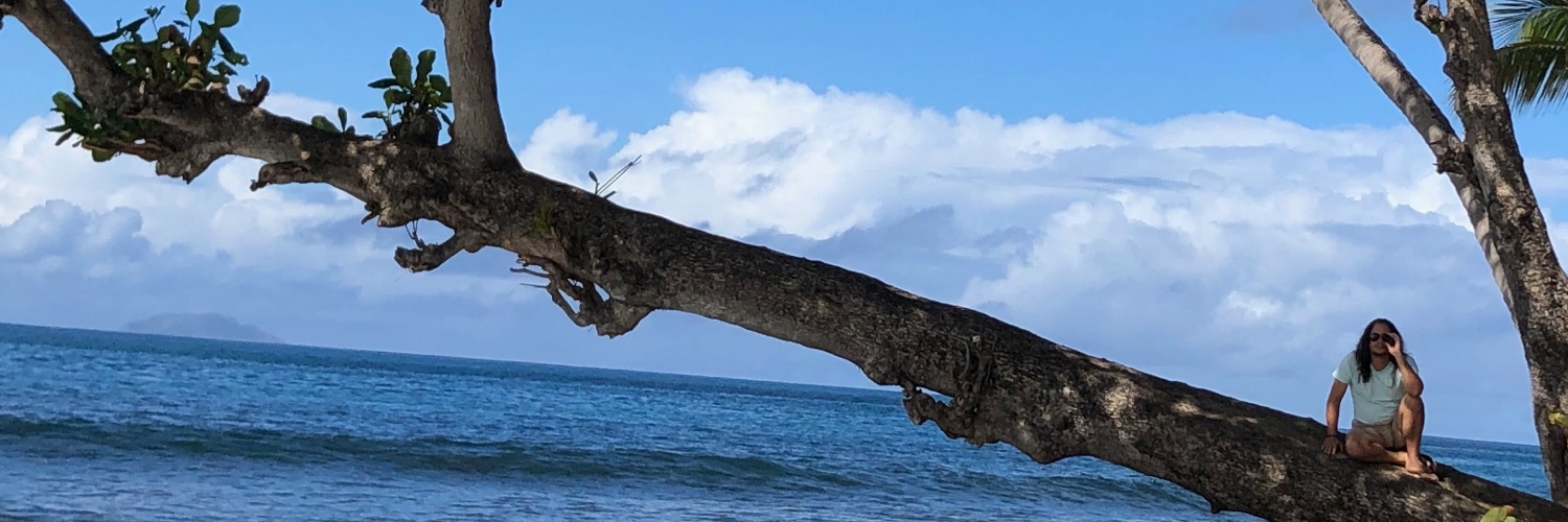 eliutrs's profile banner image