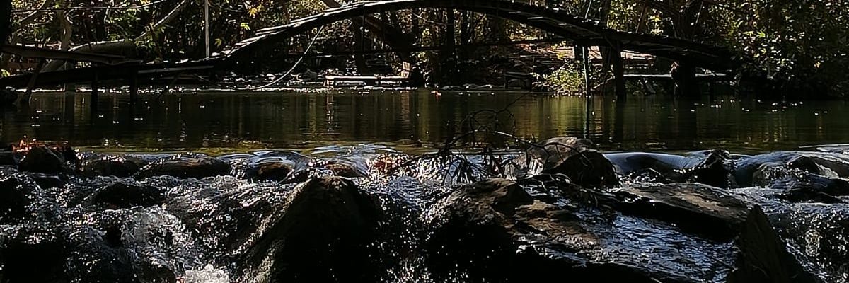 AEK11_'s profile banner image