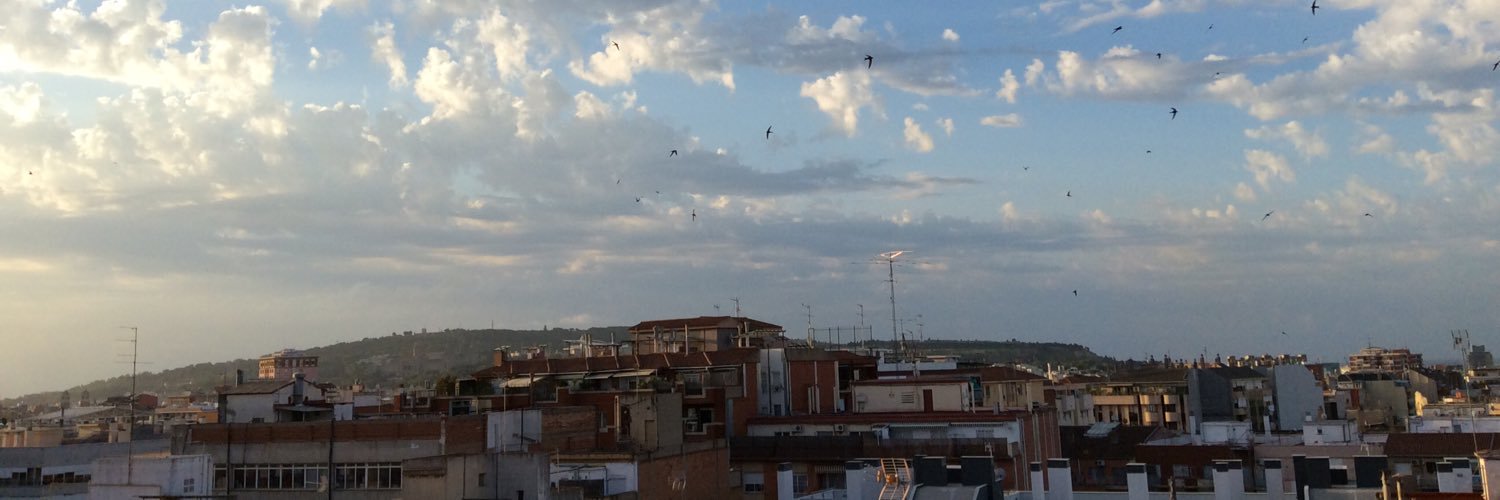 Pablo Guarner banner