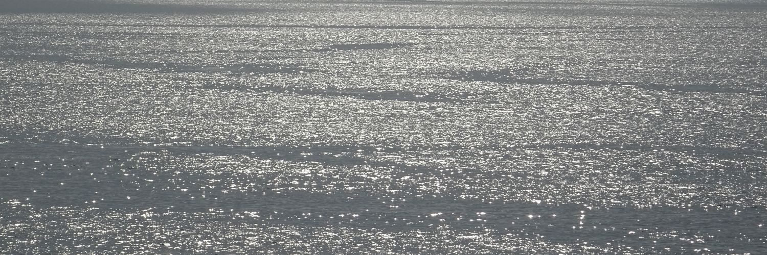 999R0BER's profile banner image