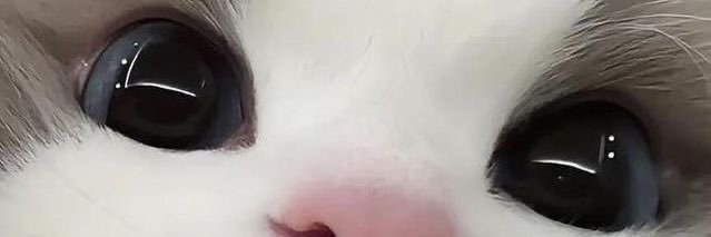 woshieve_'s profile banner image
