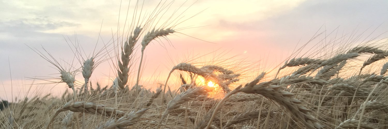 Reed Burres banner