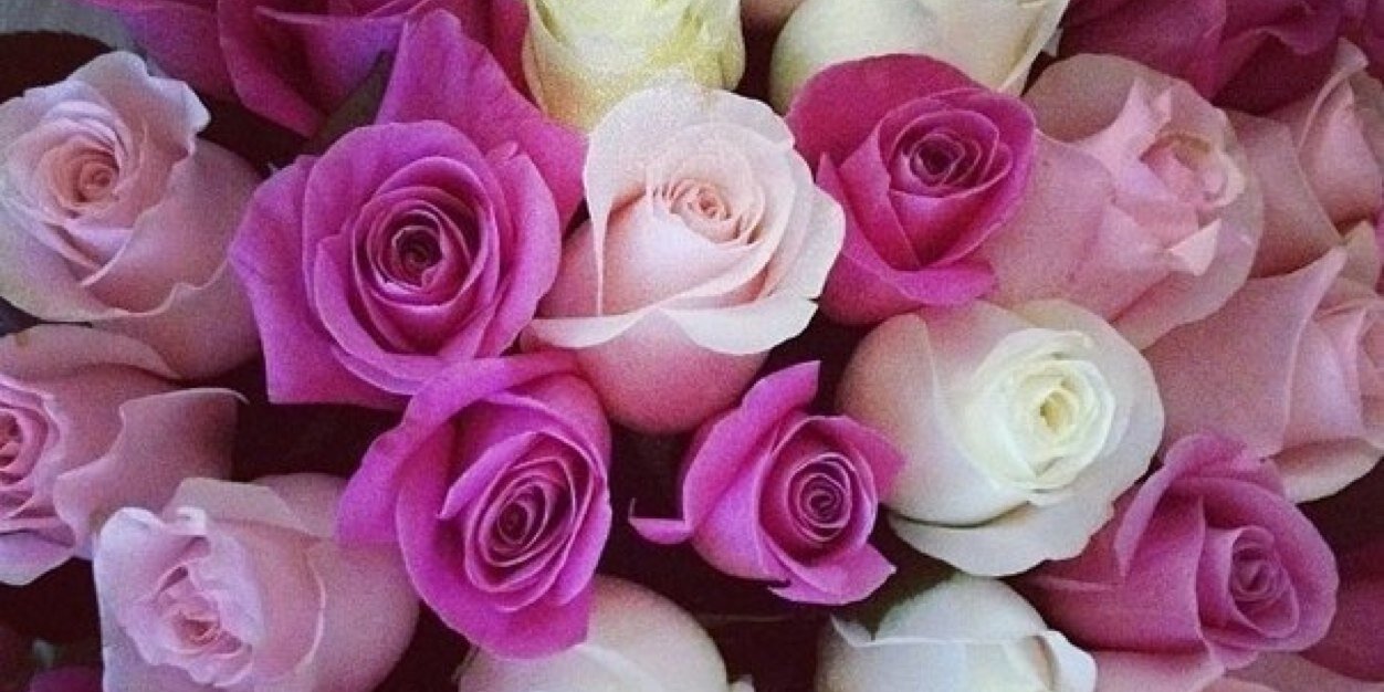 marinasamuilik banner