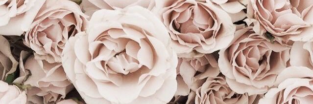 summerbrookeb's profile banner image