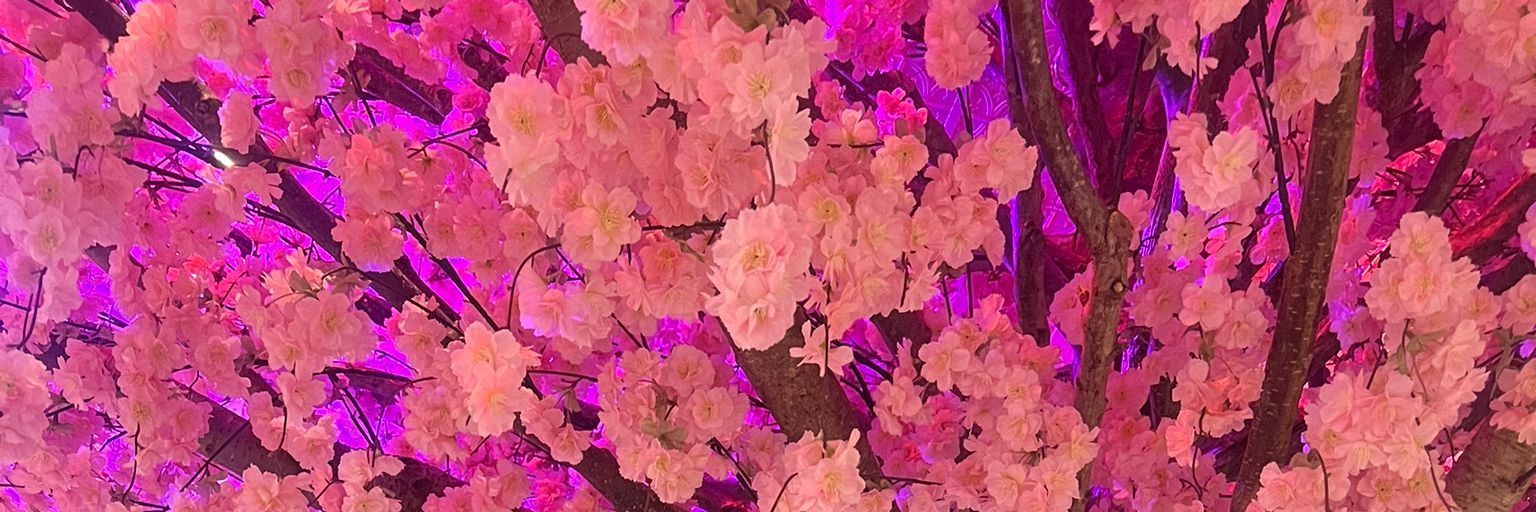ArresSMU's profile banner image