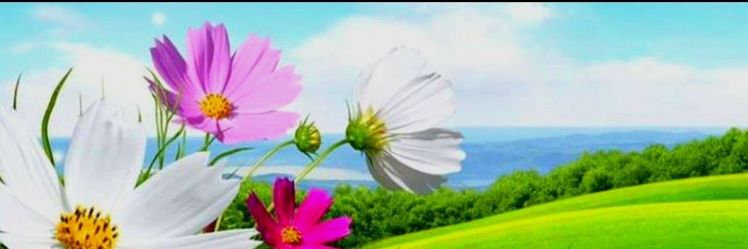 Ciara Tavares-Reyes banner