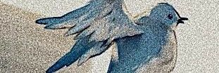 asma_1894's profile banner image