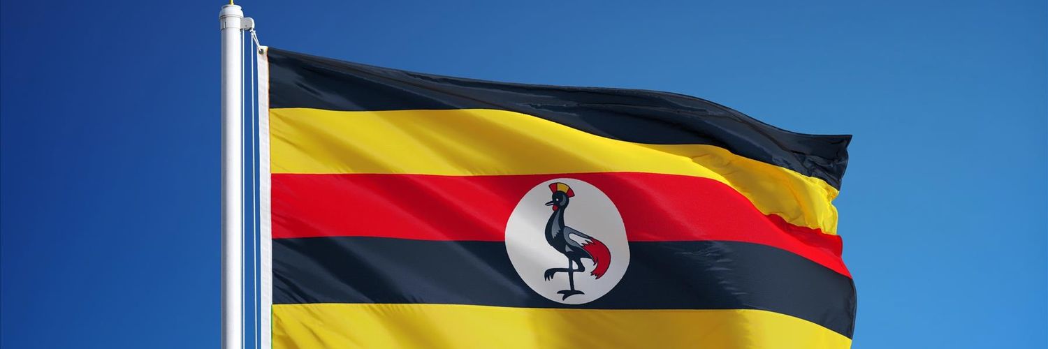 Ebosterix's profile banner image