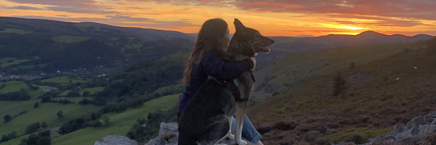 Dr Ceri Fowler banner