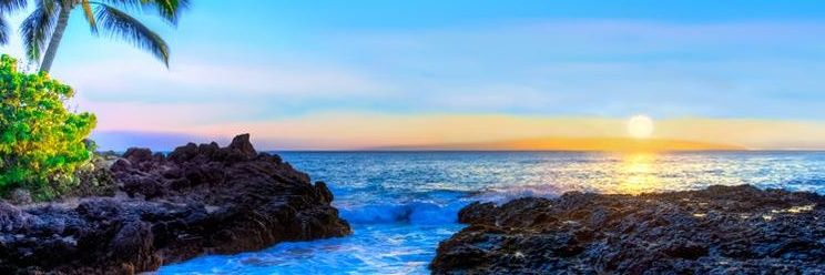 redee85's profile banner image