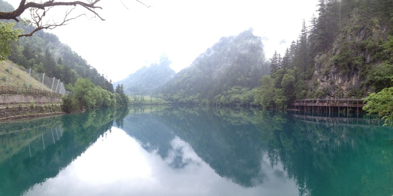 iamMichaelZhou's profile banner image