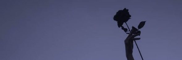 breakimitation's profile banner image