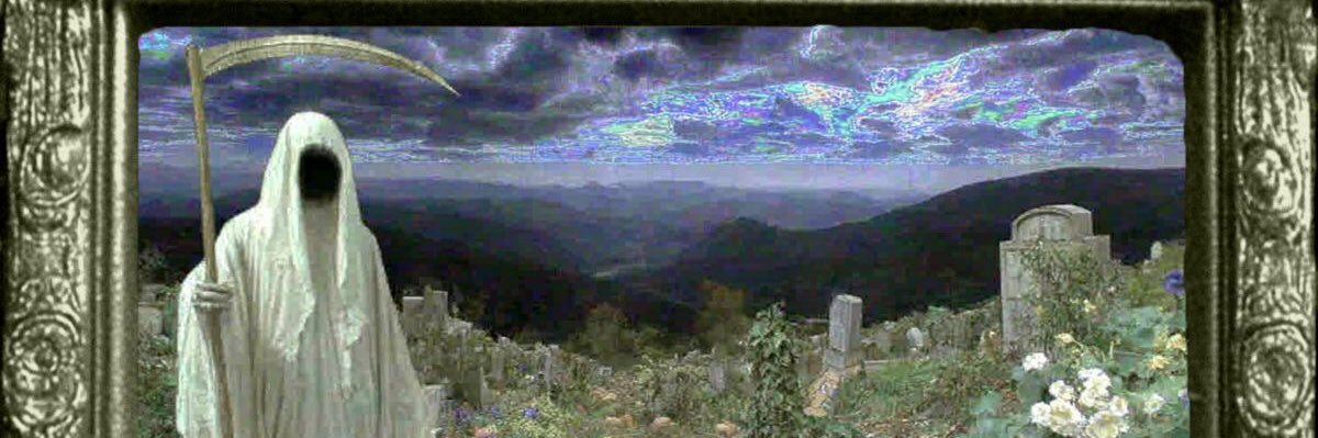 ARV🦎⛰️ banner