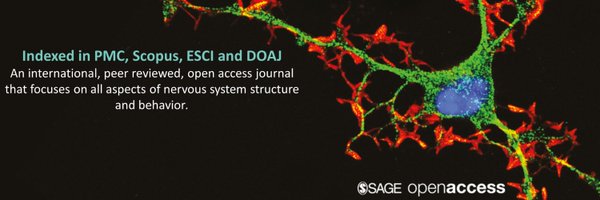Neuro_Insights Profile Banner