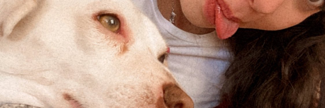 valeetoleedoo's profile banner image