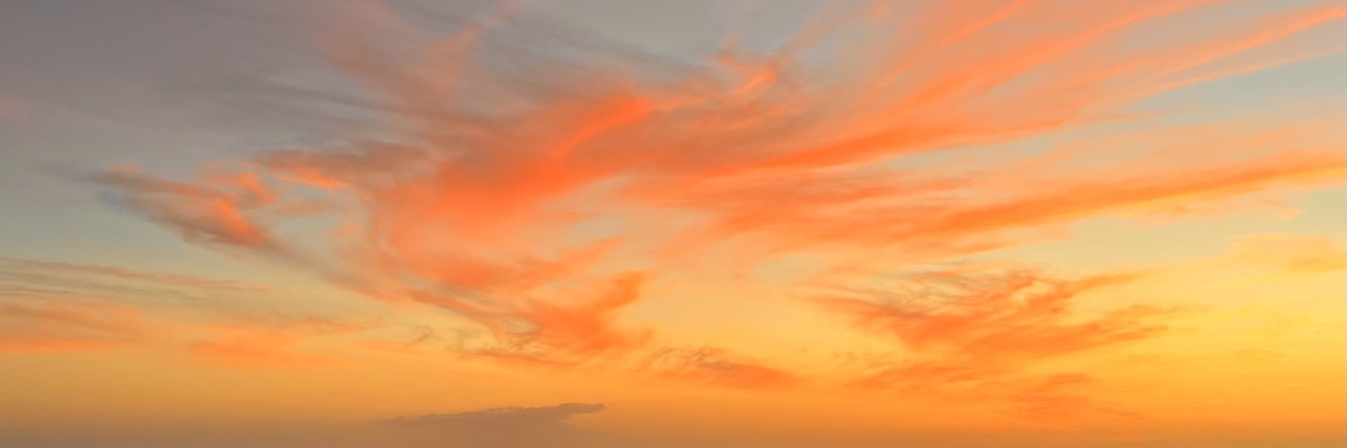 RegiiRodrguez's profile banner image