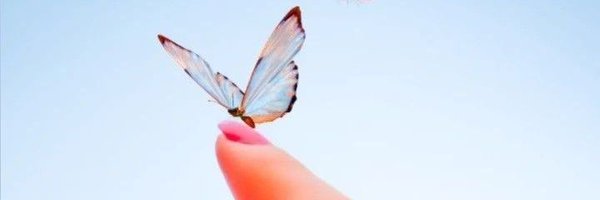 Zafar_Ch111 Profile Banner