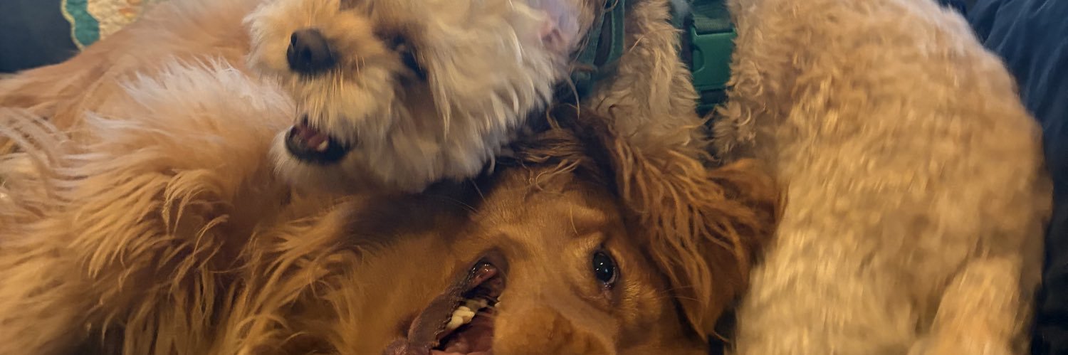 Riggs banner