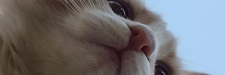 maripires23's profile banner image