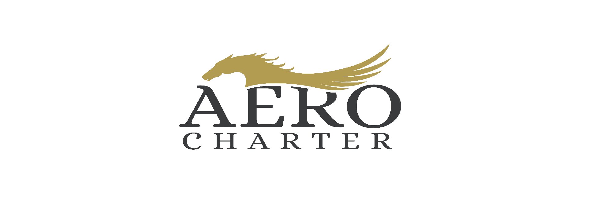 AeroCharter's profile banner image